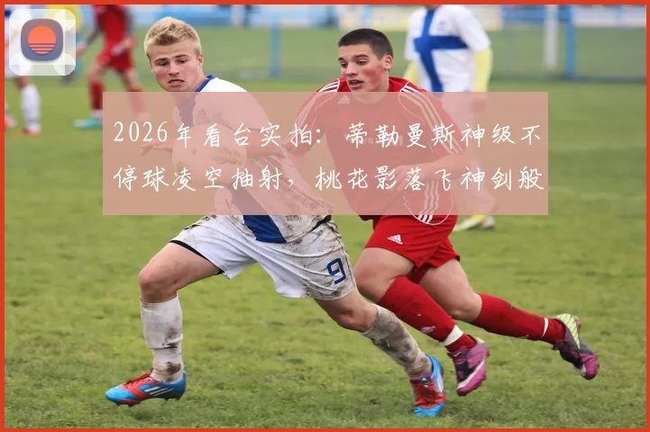 2026年看台实拍:蒂勒曼斯神级不停球凌空抽射,桃花影落飞神剑般的进球全解读
